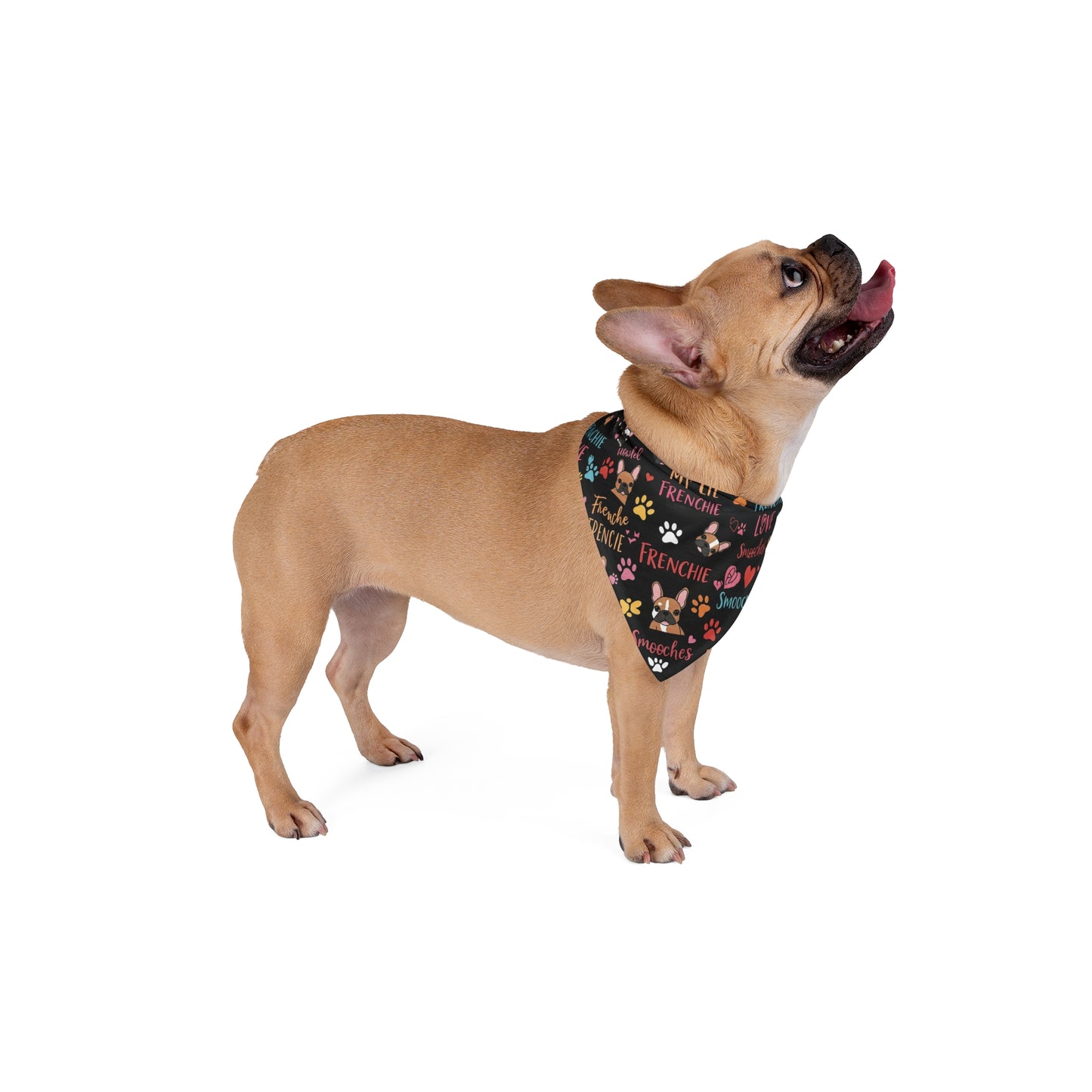 Frenchie Bandana (Black)