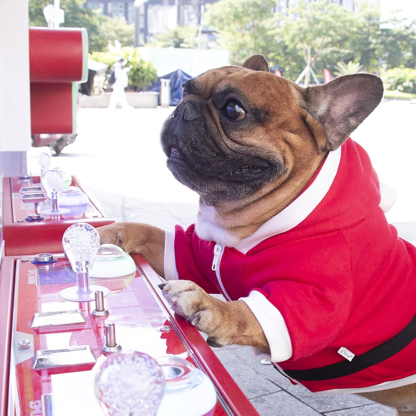 Santa Claus Father Christmas Dog Costumes Clothes Hoodies for French Bulldog Cold Weather Winter Coats Frenchie English Pug Boston Terrier - Red/Large Plus