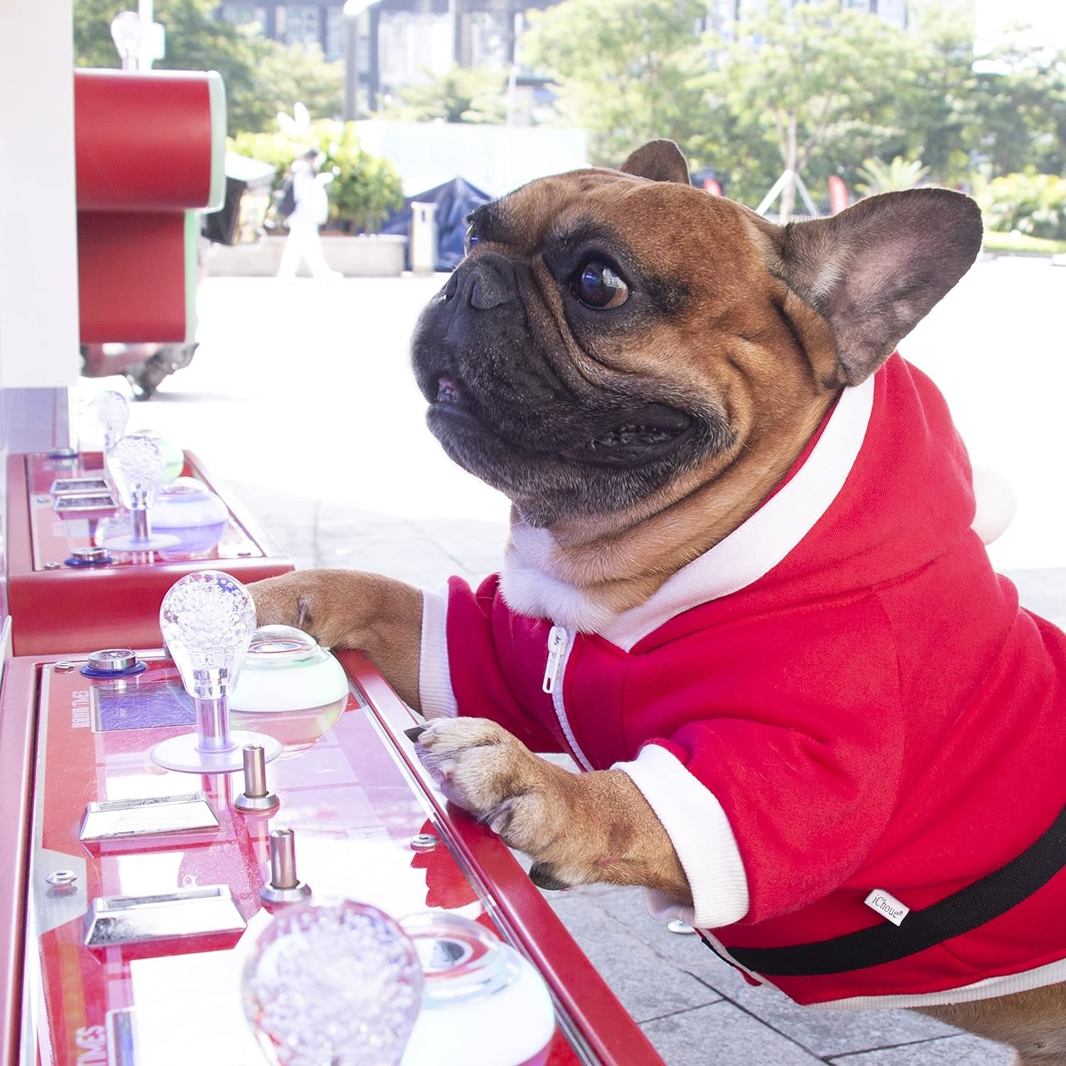 Santa Claus Father Christmas Dog Costumes Clothes Hoodies for French Bulldog Cold Weather Winter Coats Frenchie English Pug Boston Terrier - Red/Large Plus